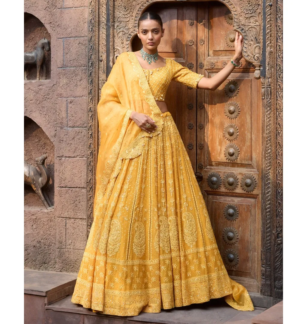 Amra Chikankari Lehenga Set