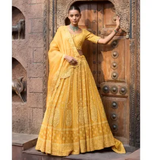 Amra Chikankari Lehenga Set