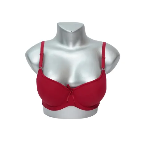 Beautiful Push up Padded Underwire Bra (60131)
