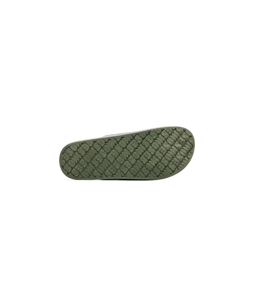 FREEDOM MOSES BASIC CACTUS